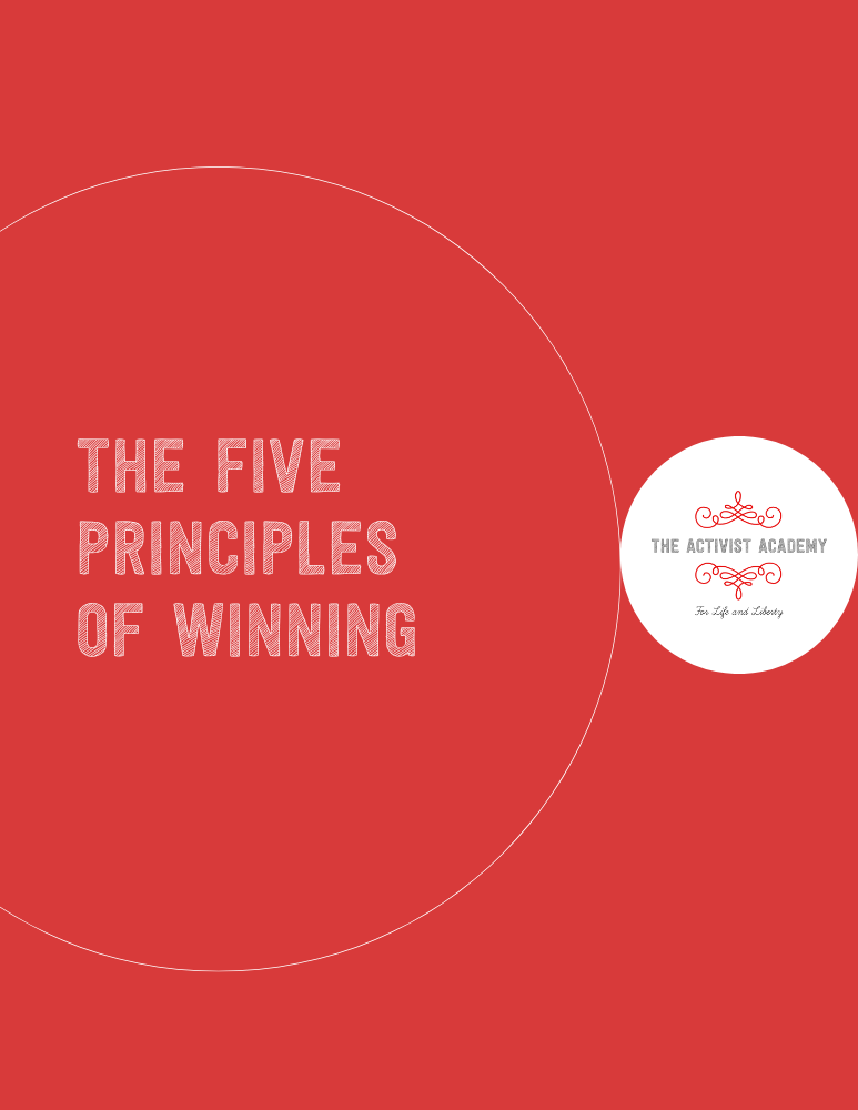 The 5 Principles of Winning eBook